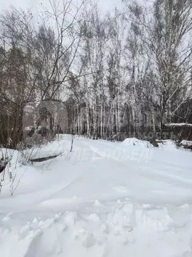 Участок в Тюменская область, Нижнетавдинский район, Строитель ТСН  ...