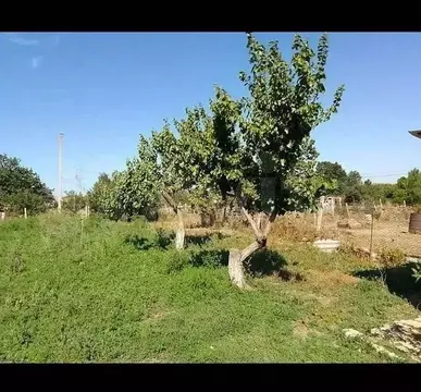 Участок в Крым, Феодосия муниципальный округ, с. Насыпное ул. Речная ...