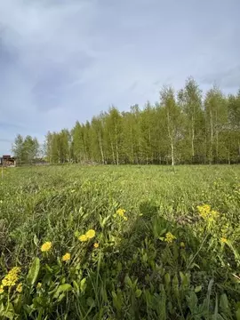 Участок в Тверская область, Конаково Пригородная ул. (7.8 сот.)