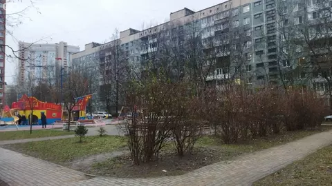 3-комнатная квартира: Санкт-Петербург, улица Коллонтай, 21к4 (57.6 м)