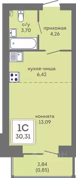 Студия Пермский край, Пермь Кировоградская ул., 28 (30.31 м)