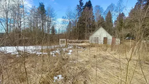 Участок в посёлок Первомайское, Еловый переулок (12 м)