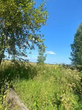 Участок в Ивановская область, Ивановский район, Коляновское с/пос, д. ...