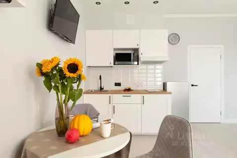 Студия Санкт-Петербург пос. Песочный, Садовая ул., 81 (27.0 м)