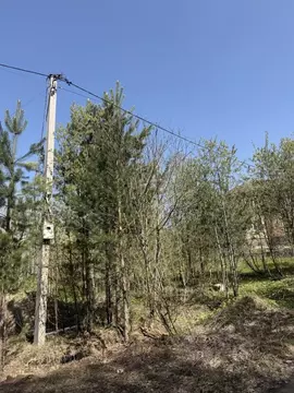 Участок в Томская область, Томск пос. Родионово, ул. Полянка, 2 (14.0 ...