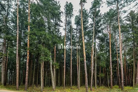 Участок в посёлок Барвиха, территория Сады Майендорф (57.9 м)