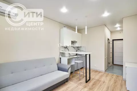 Студия Воронежская область, Воронеж Московский просп., 19 (21.2 м)