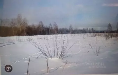 Участок в Челябинская область, Аргаяшский муниципальный округ, ...