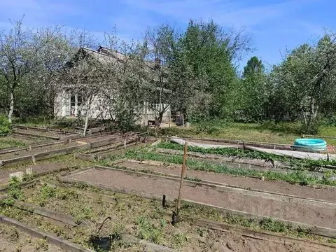 Дом в Новгородская область, Пестово ул. Грибоедова, 1 (51 м)