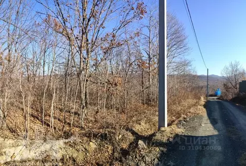Участок в Приморский край, Артем Тор СТ,  (9.6 сот.)