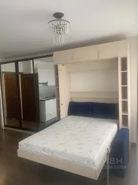 Студия Санкт-Петербург пос. Парголово, ул. Николая Рубцова, 3 (25.0 м)