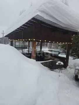Дом в Новосибирская область, Новосибирский район, с. Раздольное ...