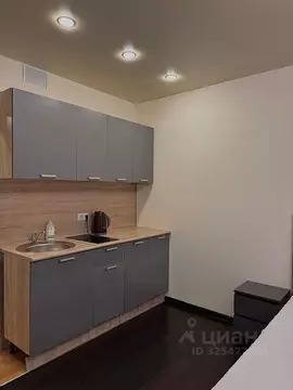 Студия Москва Очаковское ш., 5к6 (25.0 м)