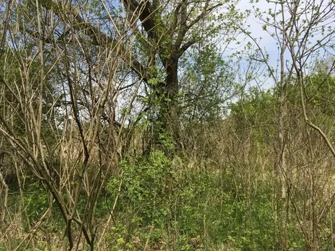 Участок в Краснодарский край, Краснодар пос. Краснодарский, 2/2 (500.0 ...