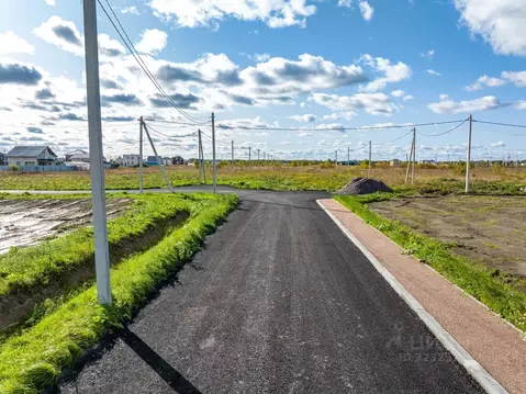 Участок в Ленинградская область, Тосненский район, Федоровское ...