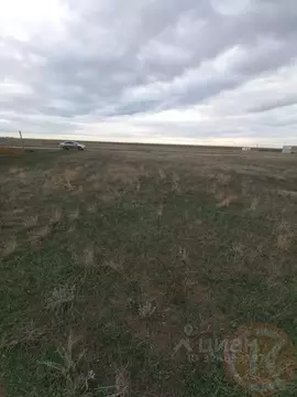 Участок в Крым, Сакский район, Штормовское с/пос, с. Крыловка ул. ...