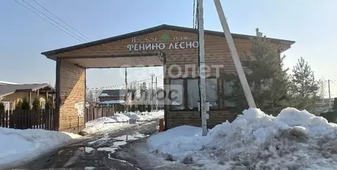 Участок в Московская область, Раменский муниципальный округ, Фенино ...