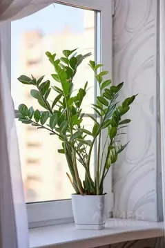 1-к кв. Псковская область, Псков Юбилейная ул., 40 (47.0 м)