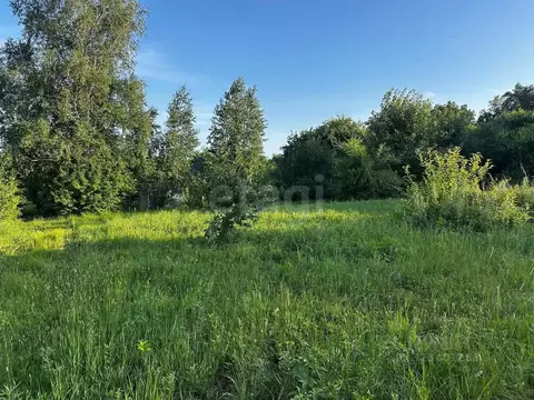 Участок в Амурская область, Благовещенский район, с. Чигири ул. ...