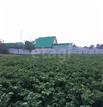 Участок в Башкортостан, Архангельский район, Ирныкшинский сельсовет, ...