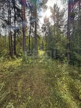 Участок в Ленинградская область, Ломоносовский район, Лебяженское ...