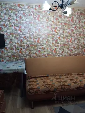 Студия Свердловская область, Екатеринбург ул. Тальковая, 6 (20.0 м)