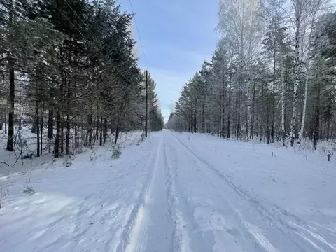 Участок в Иркутская область, Иркутский муниципальный округ, пос. Падь ...