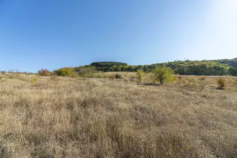 Участок в Крым, Бахчисарайский район, Скалистовское с/пос, Чаир ДСК 7 ...