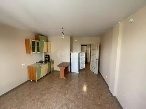 Студия Красноярский край, Красноярск ул. Шевченко, 3 (27.5 м)