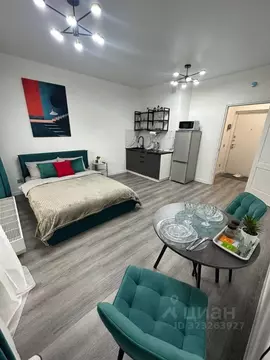 Студия Санкт-Петербург Дальневосточный просп., 23 (23.0 м)