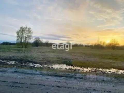 Участок в Вологодская область, Череповецкий район, Тоншаловское с/пос  ...