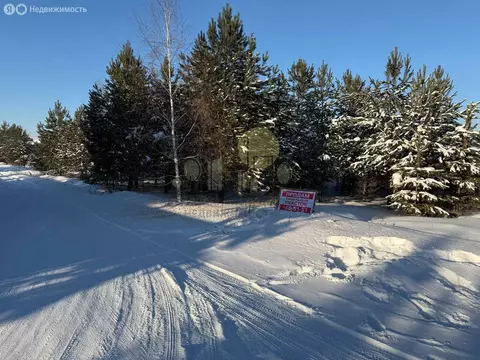 Участок в Иркутский муниципальный округ, посёлок Горный (15 м)