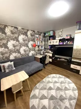 Студия Вологодская область, Вологда ул. Горького, 148 (24.2 м)