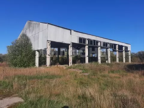 Помещение свободного назначения в Архангельская область, Приморский ...
