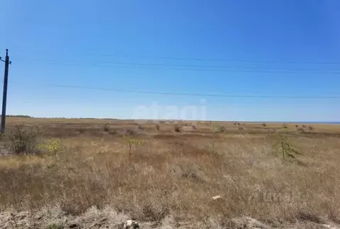 Участок в Крым, Черноморский район, с. Новосельское  (6.0 сот.)