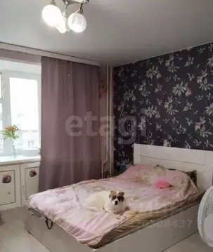 3-к кв. Пермский край, Пермь ул. Вильямса, 24 (68.0 м)