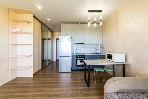 Студия Амурская область, Благовещенский район, с. Чигири ул. Красная, ...