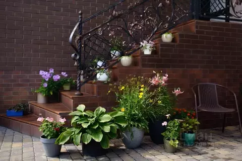 Комната Саратовская область, Саратов туп. 6-й Шелковичный, 1А (10.0 м)