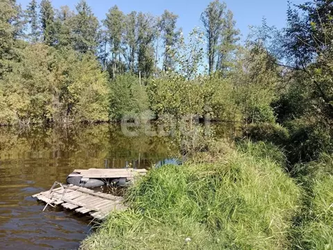 Участок в Брянская область, Выгоничский район, Кокинское с/пос, с. ...