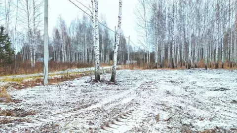 Участок в Тюменская область, Нижнетавдинский муниципальный округ, ...