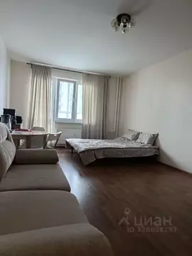 Студия Санкт-Петербург дор. Кушелевская, 3к13 (33.0 м)