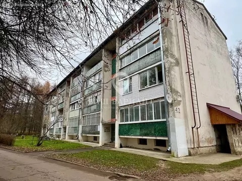 2-комнатная квартира: посёлок Борок, 42 (45.4 м)