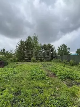 Участок в Новосибирская область, Новосибирский район, Морской ...