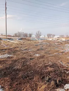 Участок в Челябинская область, Челябинск Тракторосад № 3 СНТ, дор. ...