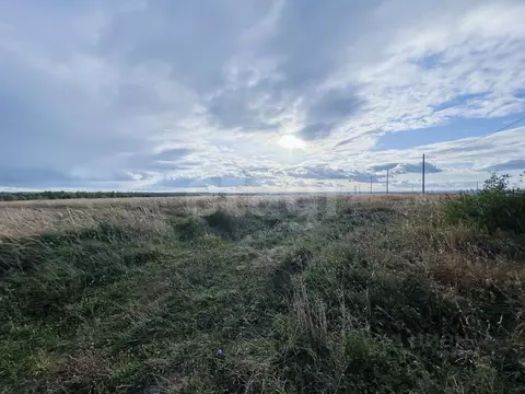 Участок в Мордовия, Саранск  (202.99 сот.)