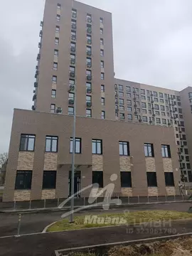 Студия Московская область, Дмитровский муниципальный округ, ...