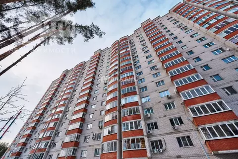 2-к кв. Воронежская область, Воронеж Московский просп., 147а (62.2 м)