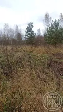 Участок в Ленинградская область, Лужский район, Заклинское с/пос, д. ...