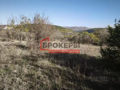 Участок в Севастополь с. Родное, ул. Школьная, 33 (300.0 сот.)