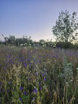 Участок в Ростовская область, Аксайский район, Мишкинское с/пос, Малый ...